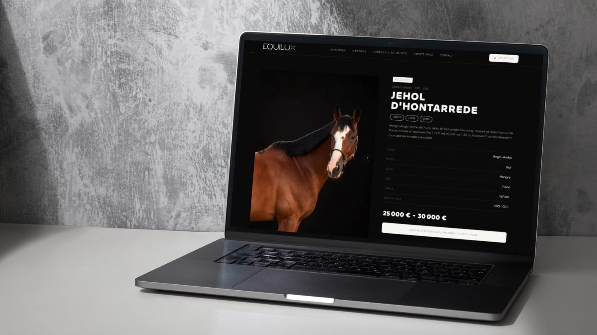 Acheter un cheval de sport : pourquoi nous avons créé Equilux